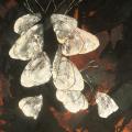 Papillons