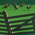 Les Moutons