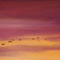 Vol de grues